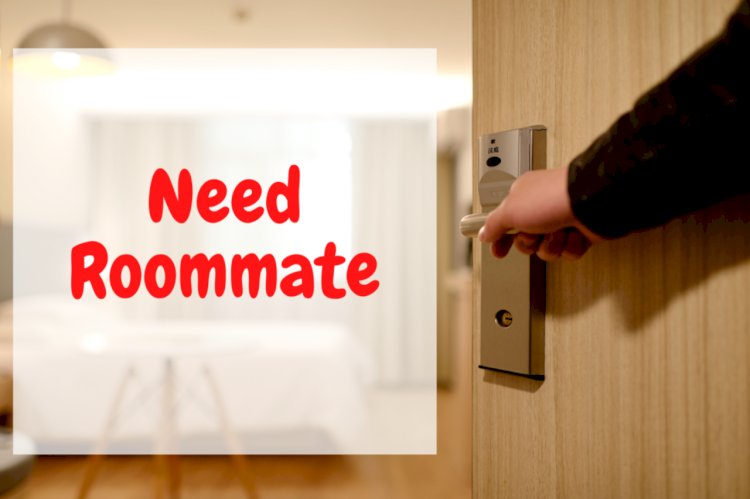 How To Search for The Correct Roommate