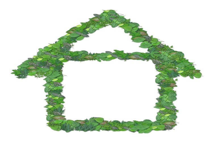 6 Reasons to Go Green With Your Rental Property